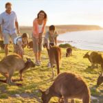 Top 8 Offbeat Things To Do In Australia