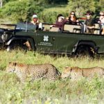 Have An Adventurous Vacation With A Tour To Africa