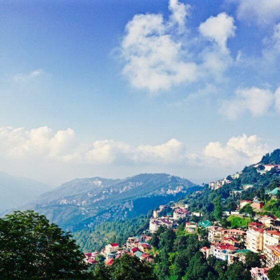 Shimla