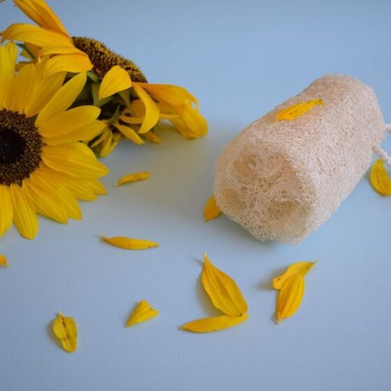 Sunflower Wax