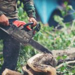 10 Ways a Tree Surgeon Can Help Your Business in 2024