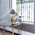 Cat Furniture – There Are Many Awesome Options For Your Furry Friend
