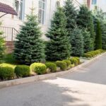 Measuring Your Driveway: A Key Step in Modern Home Renovations