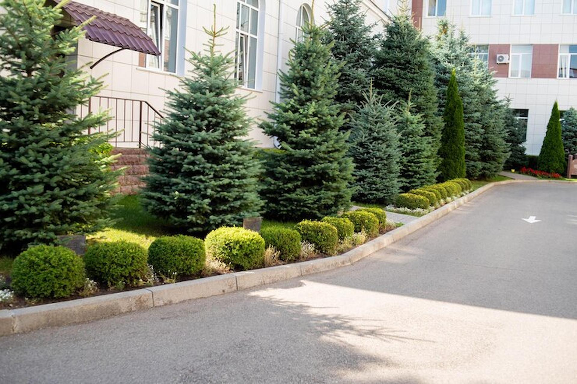 Measuring Your Driveway: A Key Step in Modern Home Renovations