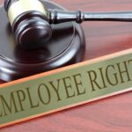 Your Job, Your Rights: Understanding Employment Contracts