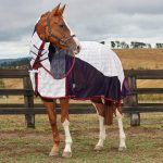Can Stable Rugs Make Horses Uncomfortable?