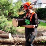 The Best Tree Surgeons Available For Your Tree Cutting Needs