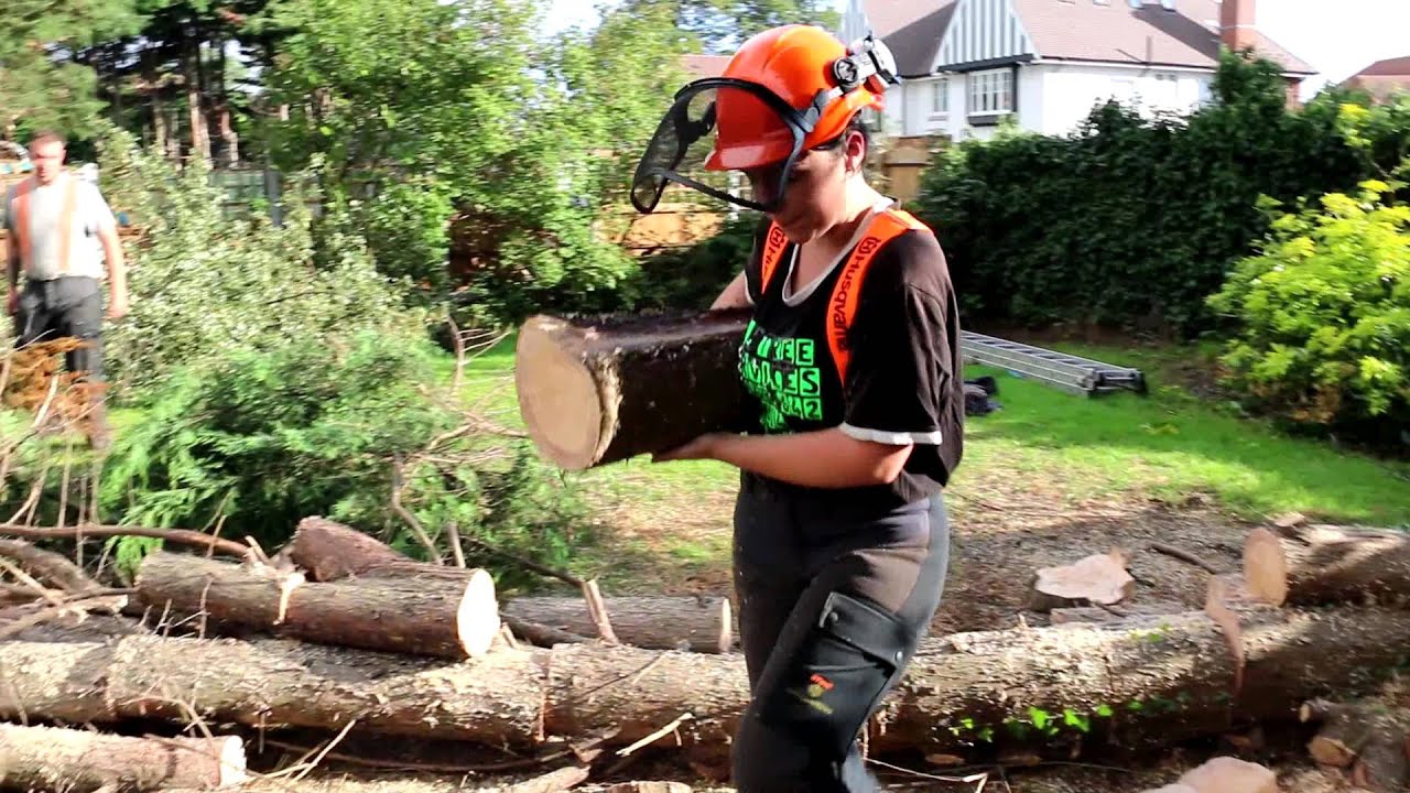 tree surgeons Upminster